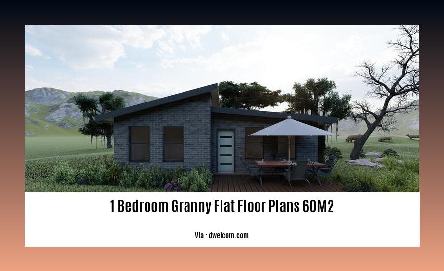 1 bedroom granny flat floor plans 60m2