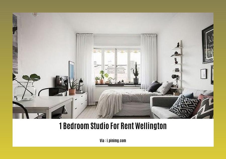 1 bedroom studio for rent wellington