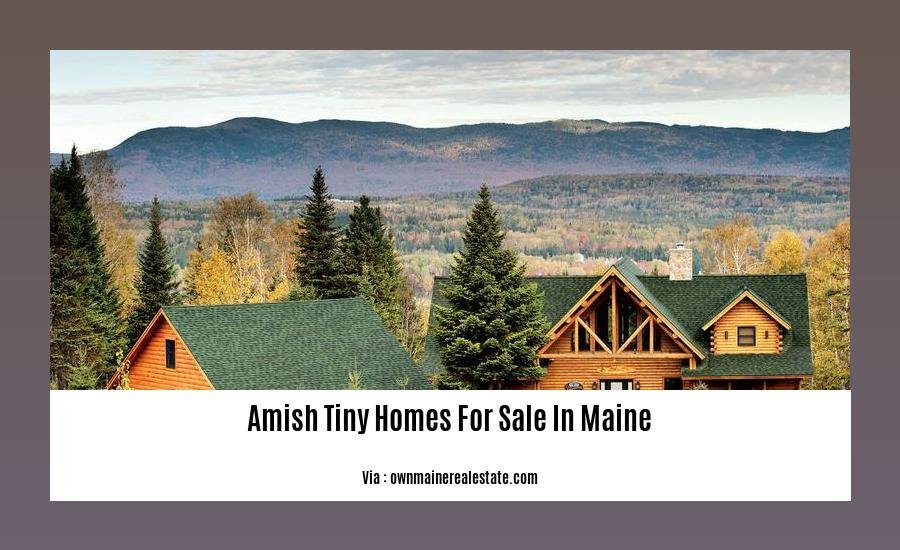 Amish tiny homes for sale in Maine