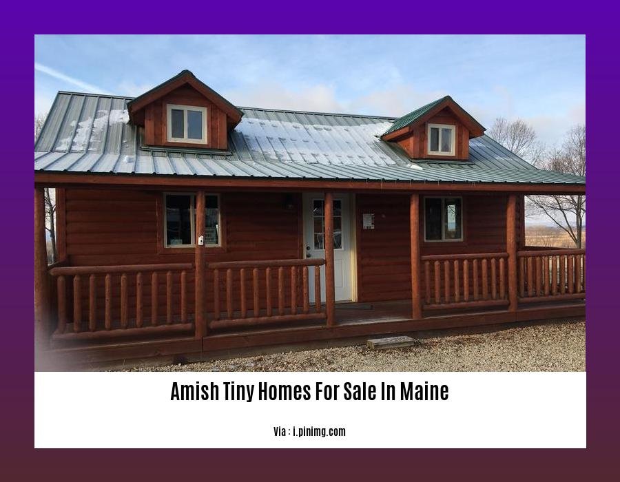 Amish tiny homes for sale in Maine