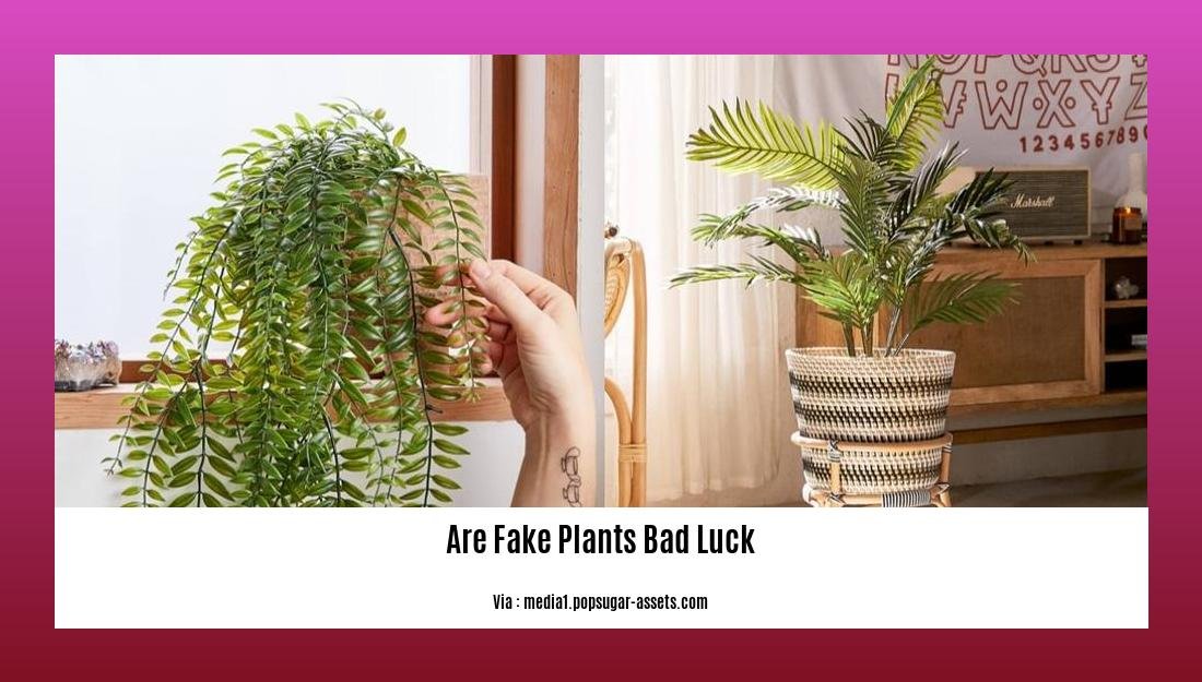 Are fake plants bad luck