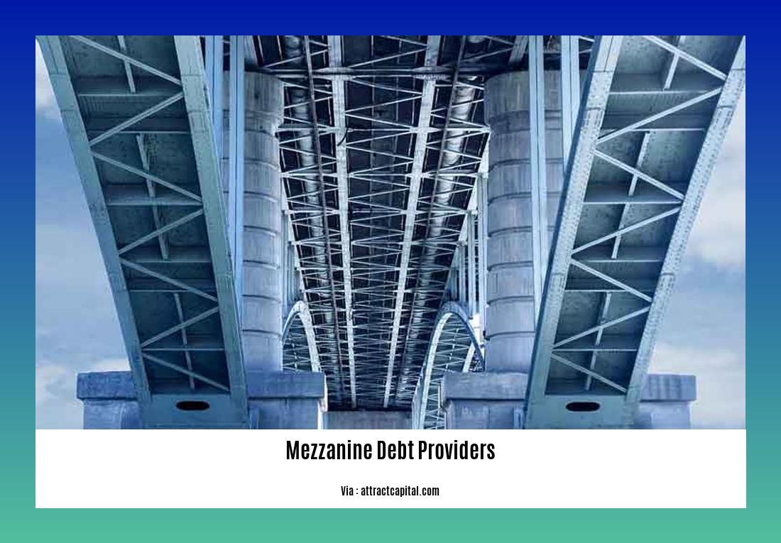 Mezzanine debt providers