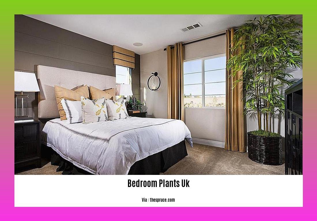 bedroom plants uk