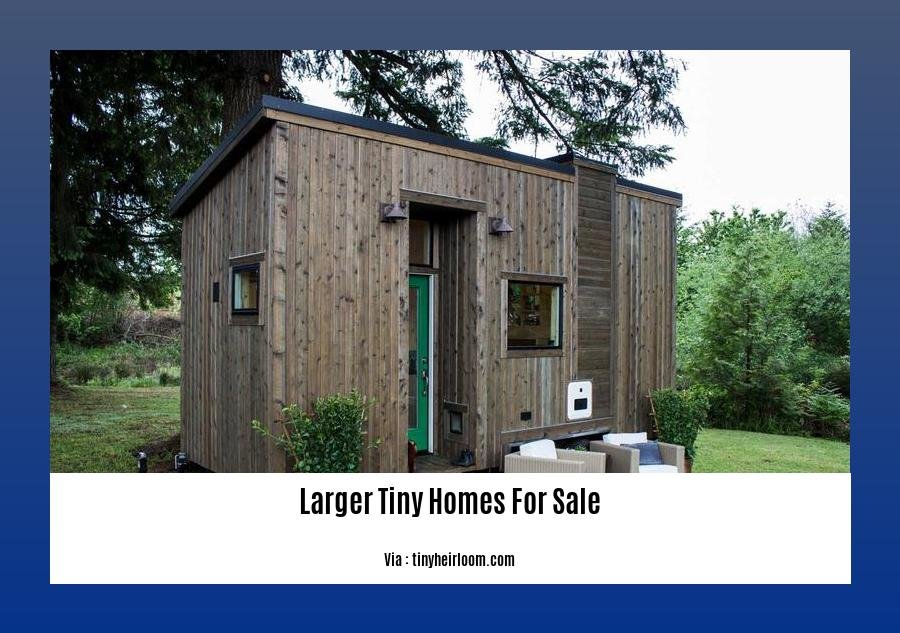 larger tiny homes for sale