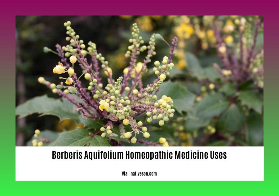 Berberis aquifolium homeopathic medicine uses
