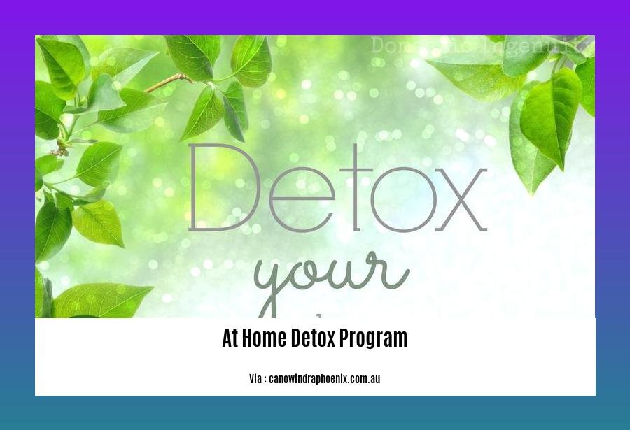 at home detox program