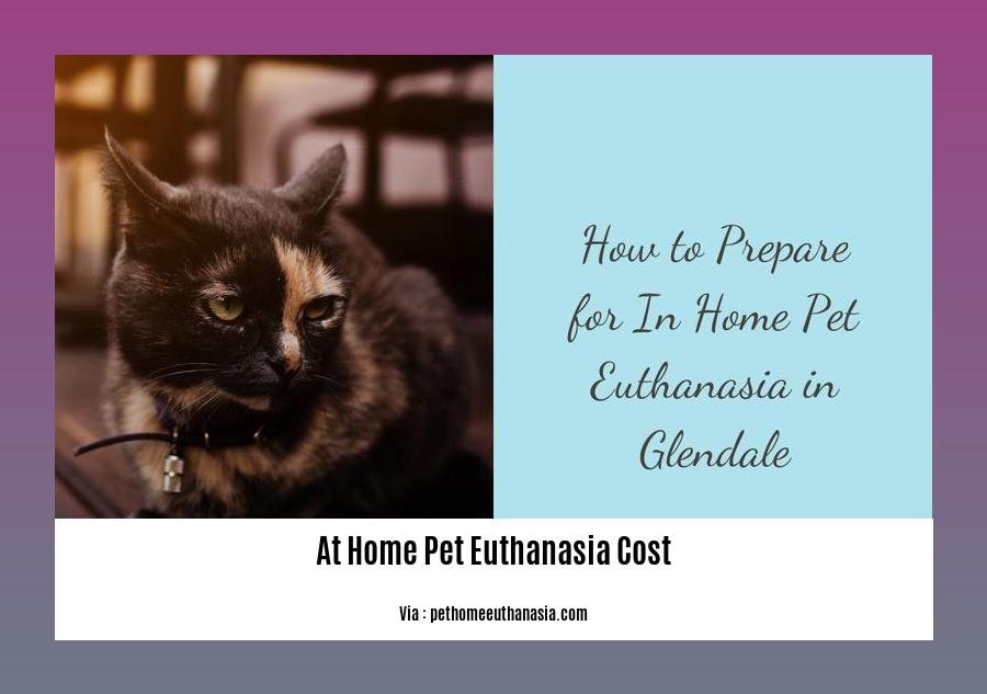 at home pet euthanasia cost