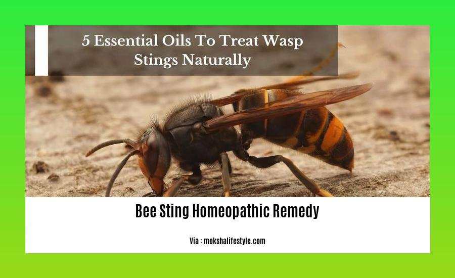 bee sting homeopathic remedy