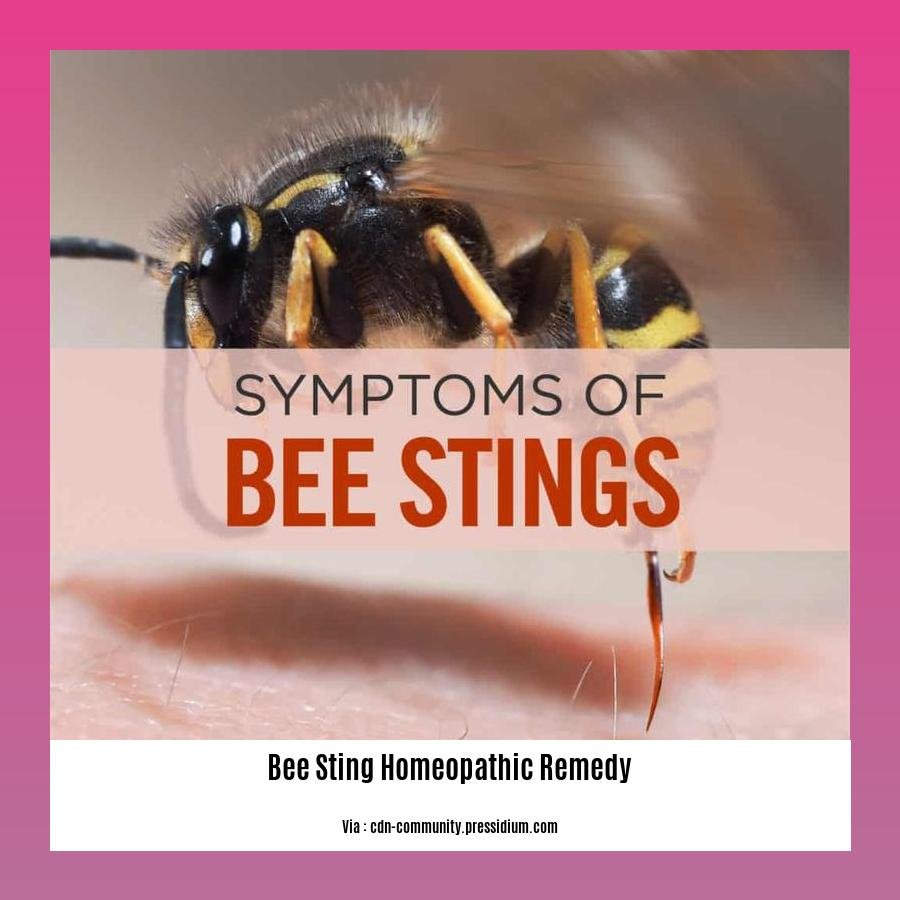 bee sting homeopathic remedy