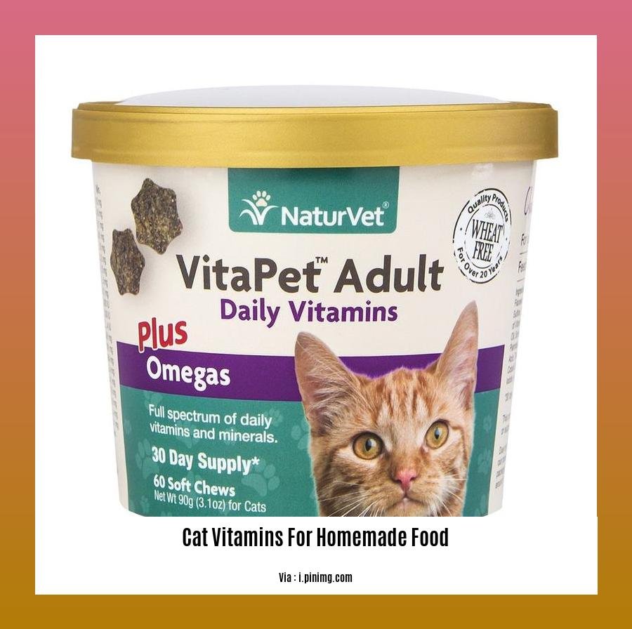 cat vitamins for homemade food