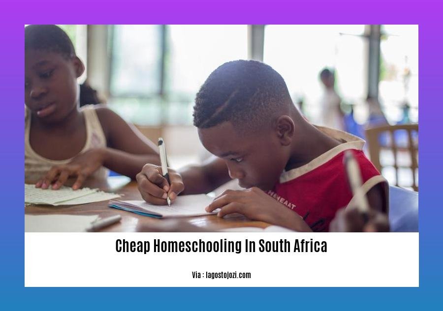 cheap homeschooling in south africa