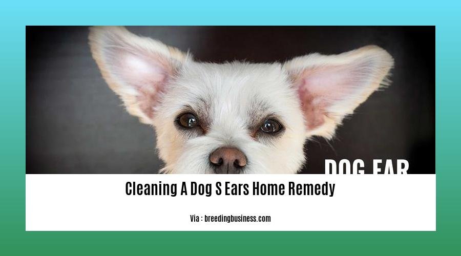 cleaning a dog s ears home remedy