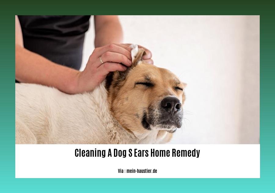cleaning a dog s ears home remedy