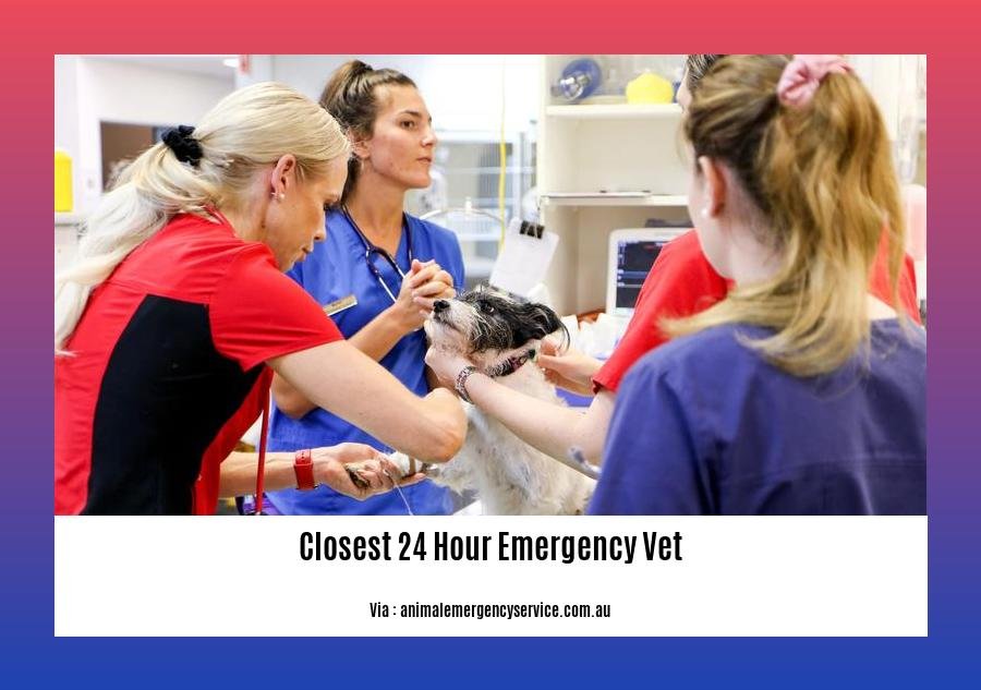 closest 24 hour emergency vet