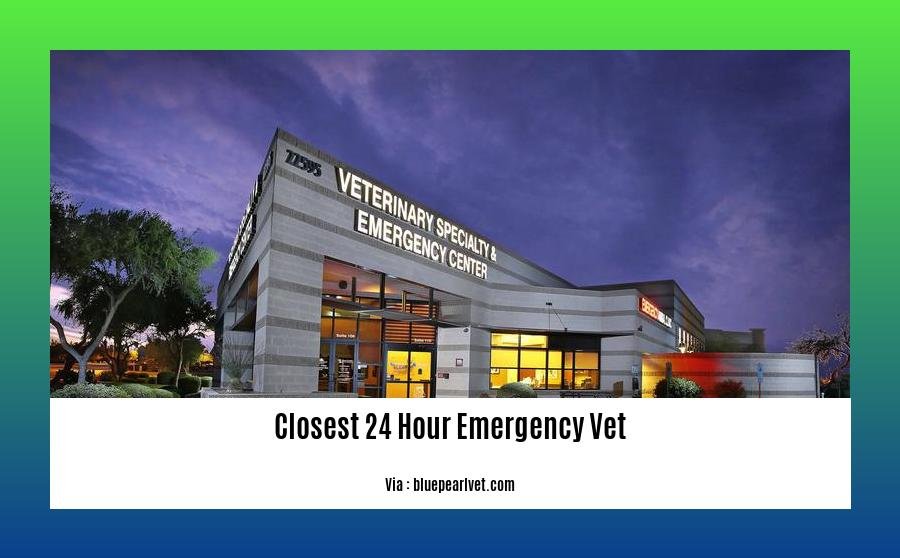 closest 24 hour emergency vet