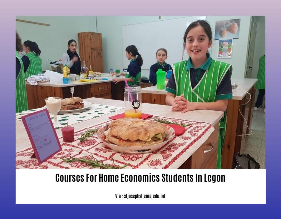 courses for home economics students in legon