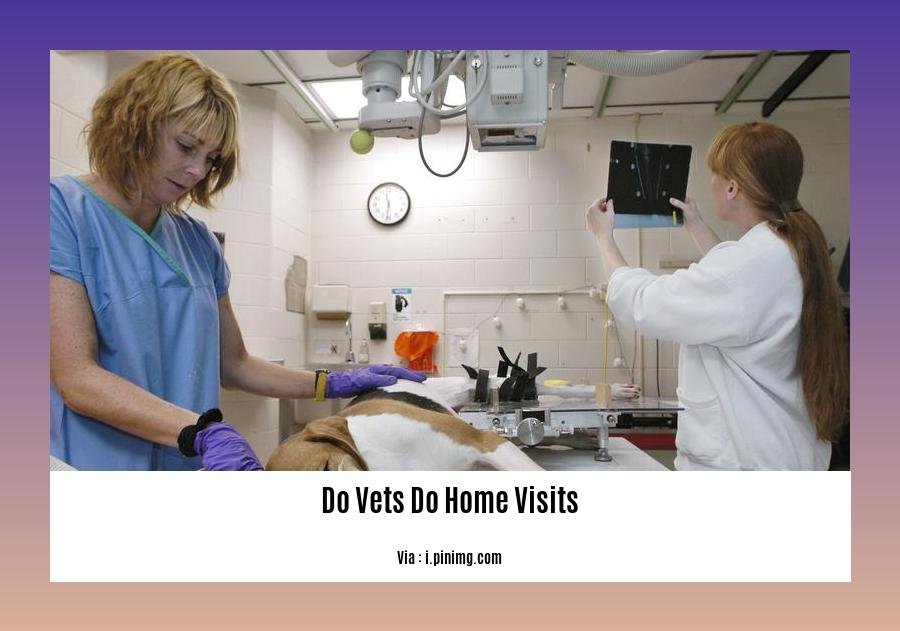 do vets do home visits