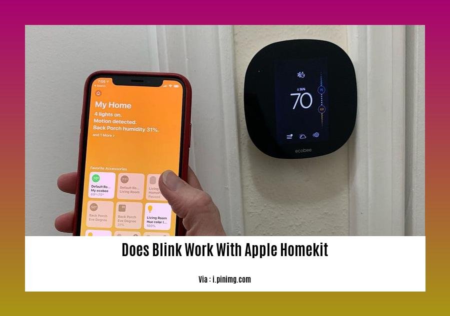 does blink work with apple homekit