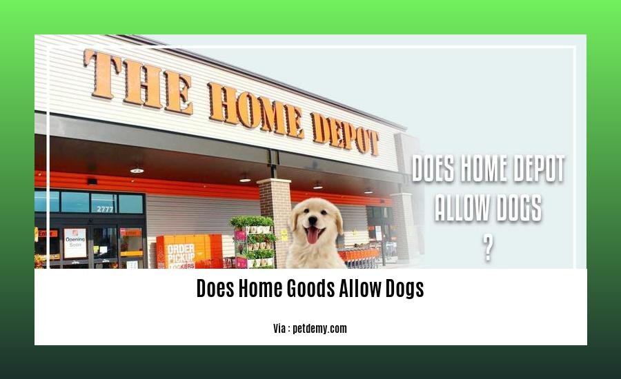 does home goods allow dogs