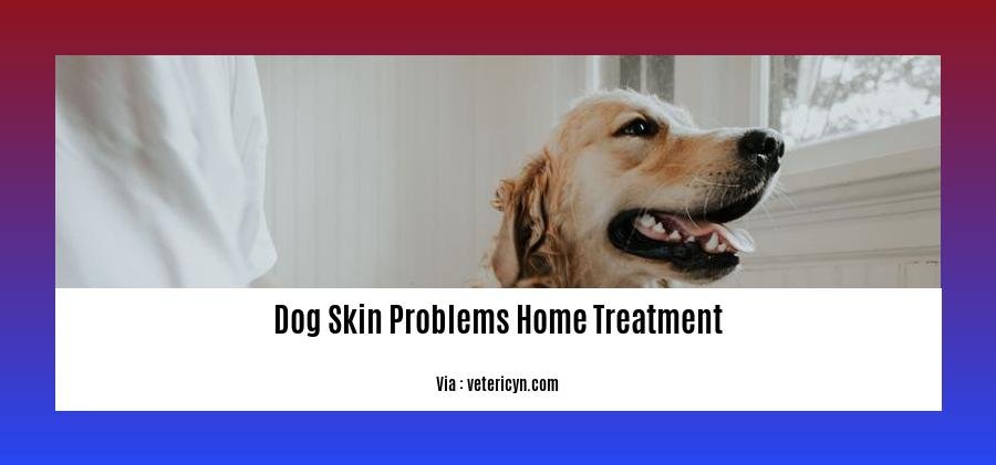 dog skin problems home treatment