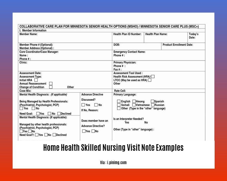 home health skilled nursing visit note examples