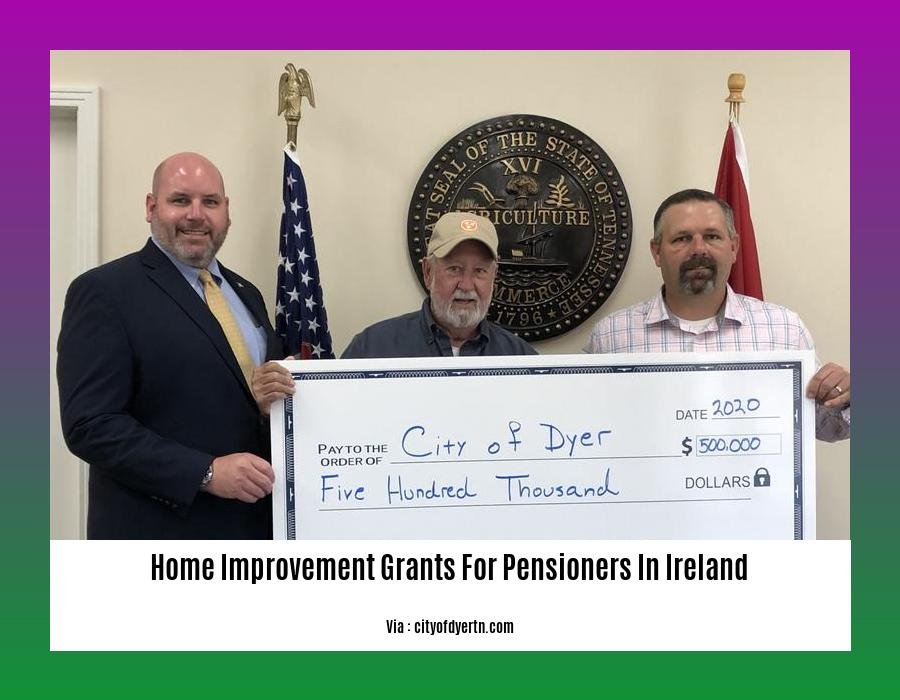home improvement grants for pensioners in ireland