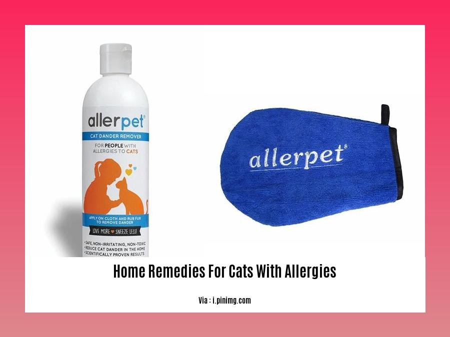 home remedies for cats with allergies