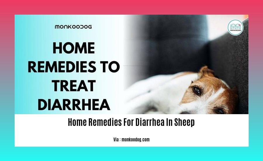 home remedies for diarrhea in sheep