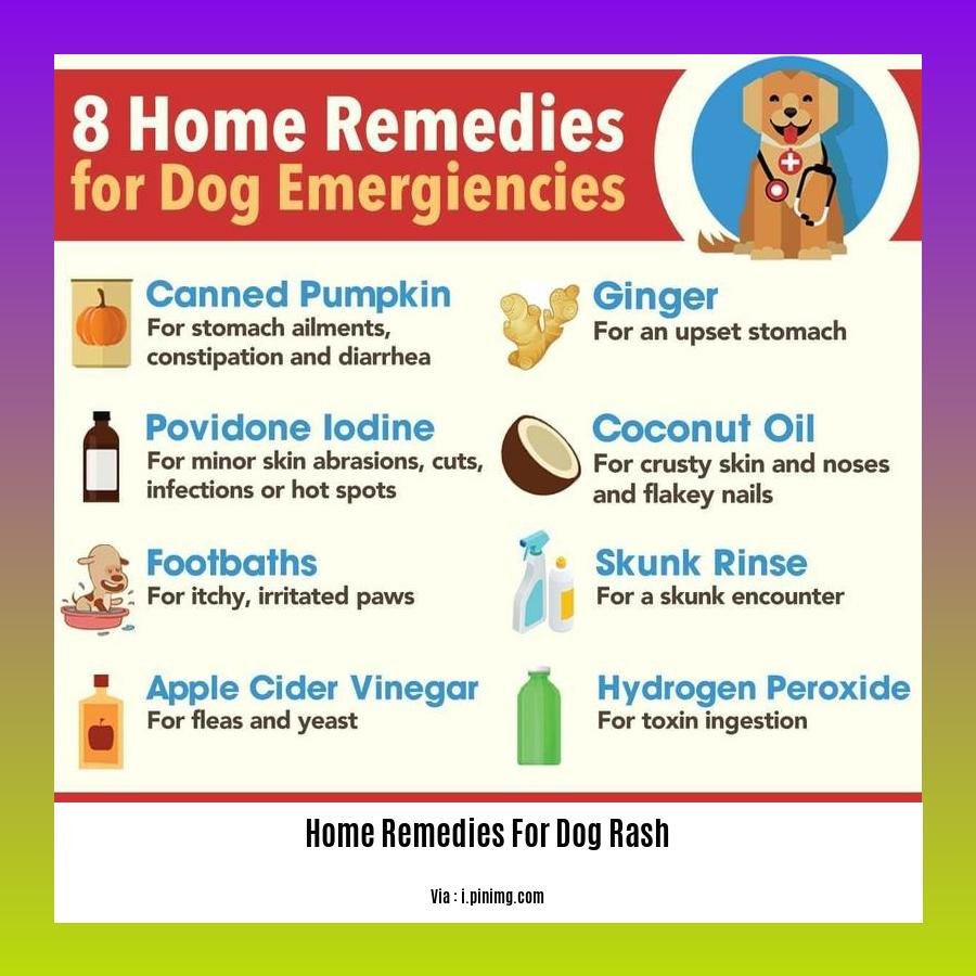 home remedies for dog rash
