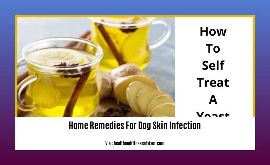 home remedies for dog skin infection