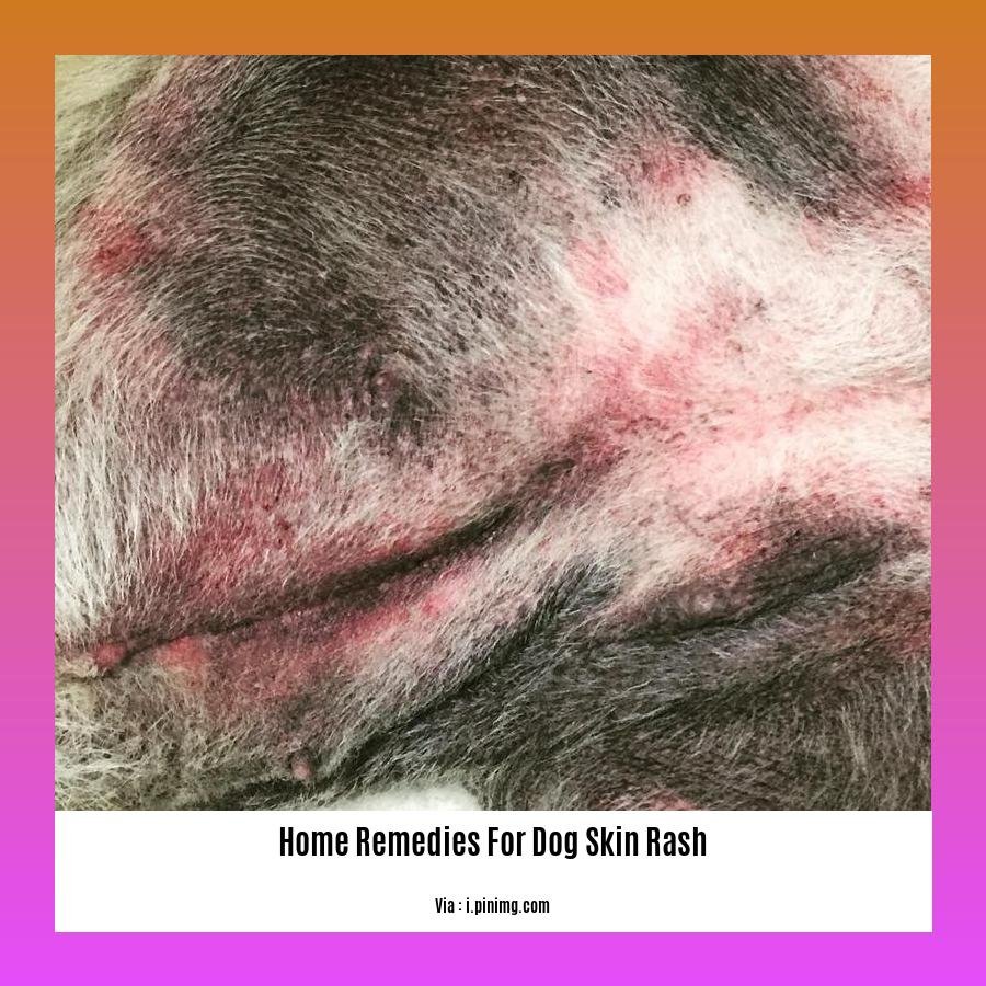 home remedies for dog skin rash