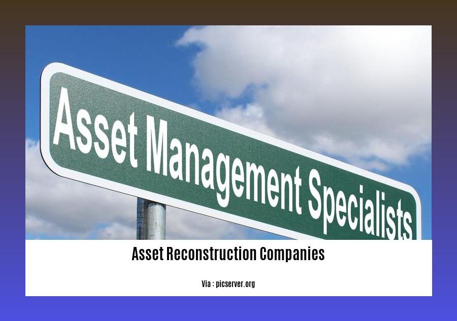 asset reconstruction companies