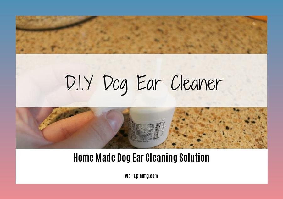 home made dog ear cleaning solution