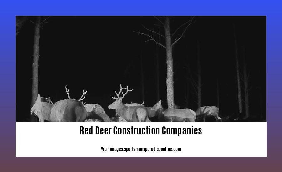 red deer construction companies