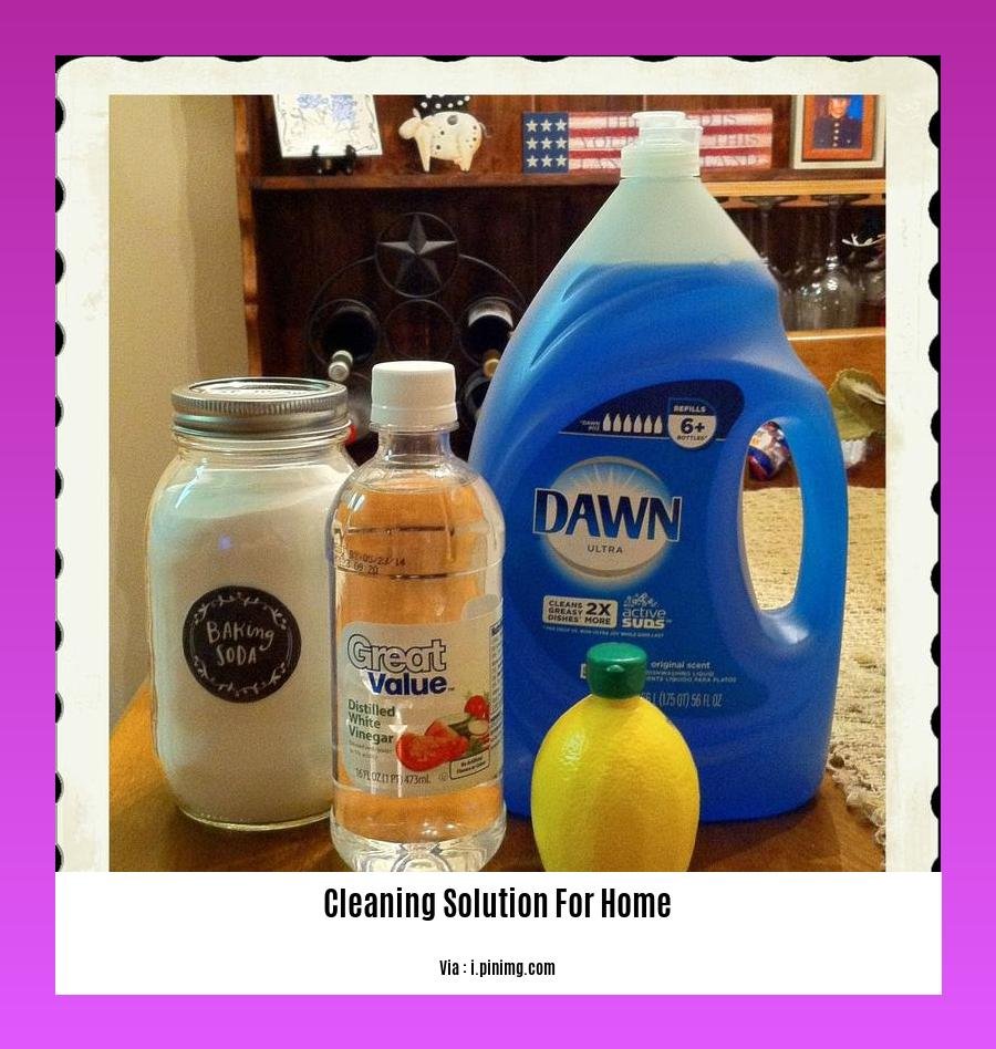 cleaning solution for home