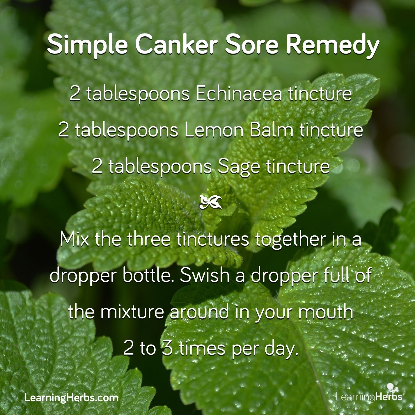 best home remedy for canker sore on tongue