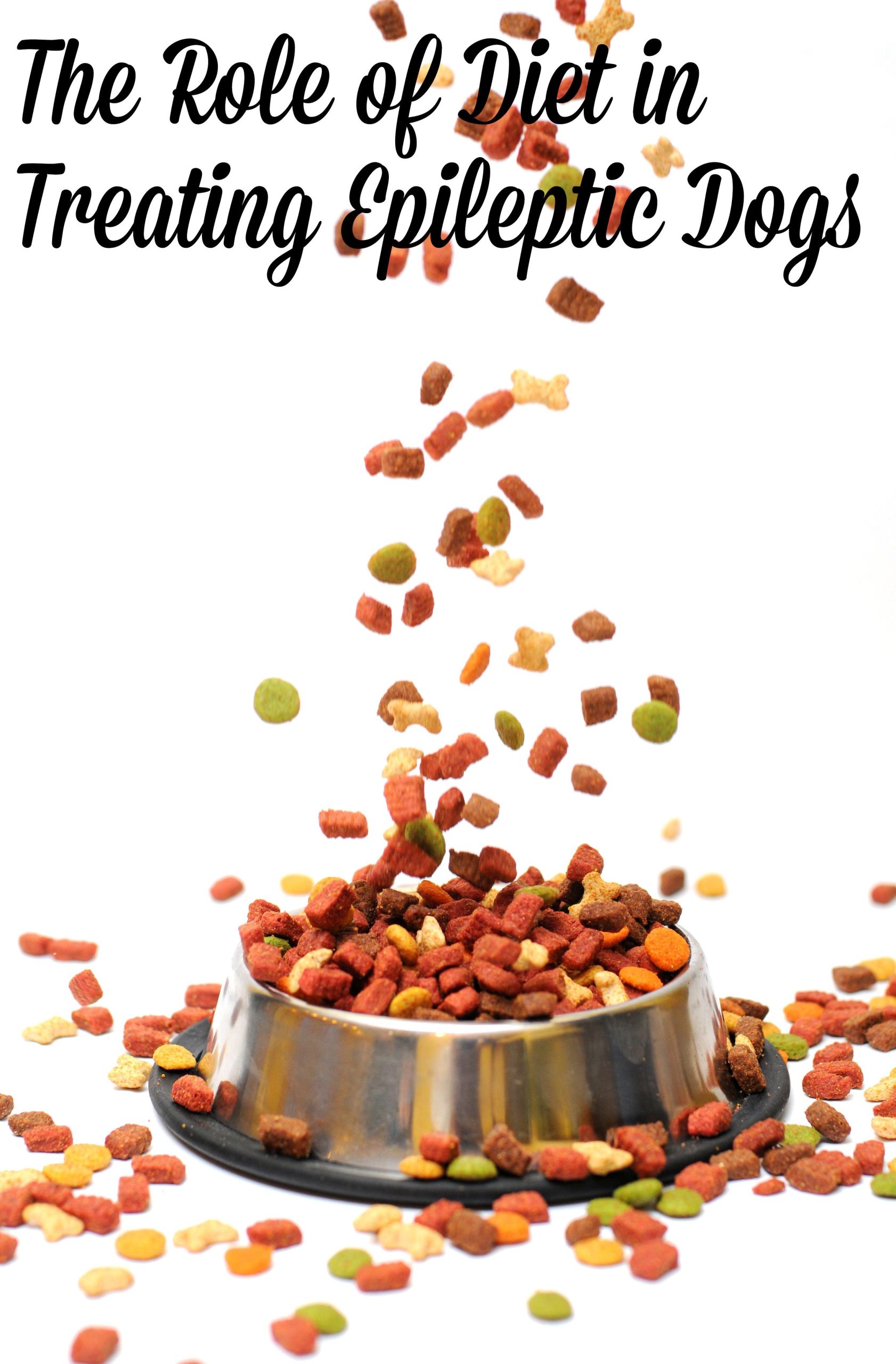 best homemade food for dogs with seizures