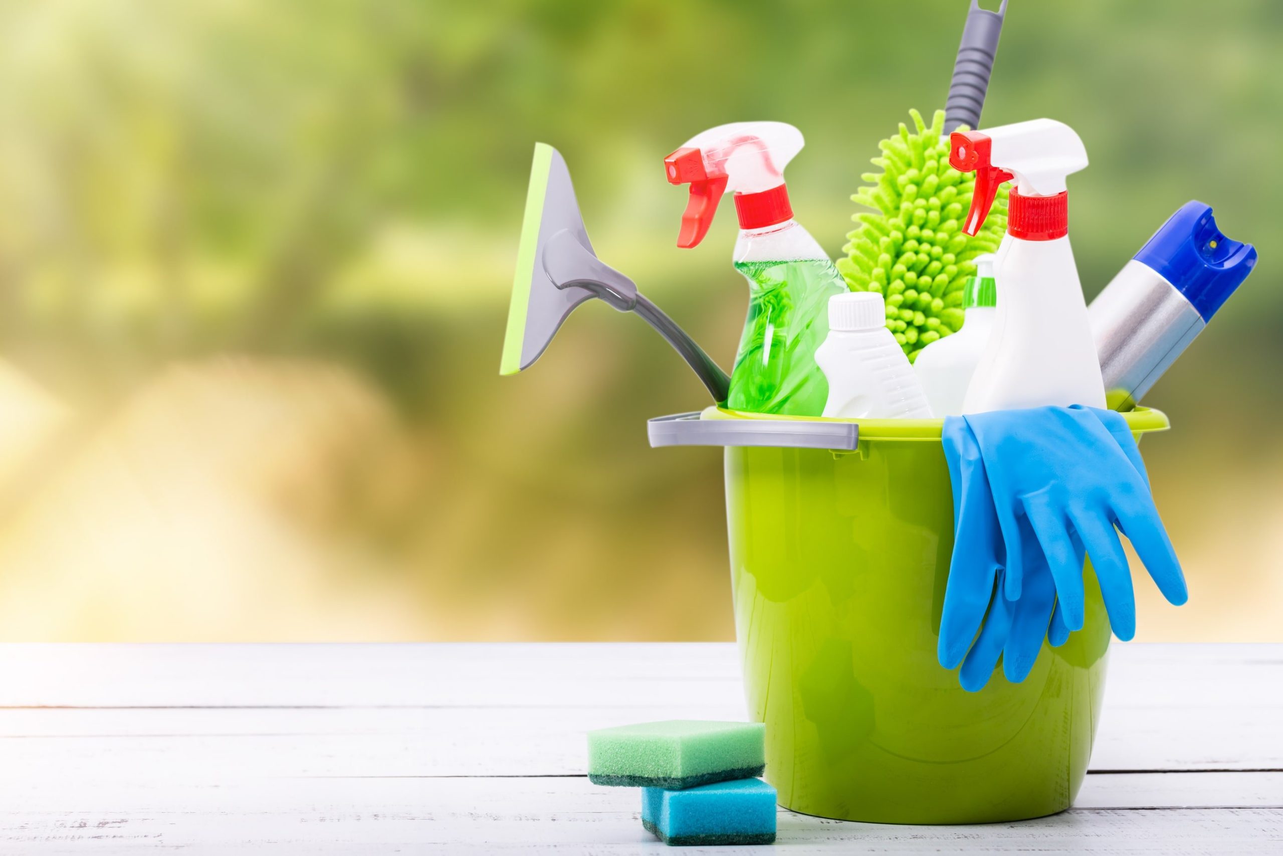 home domestic cleaning services