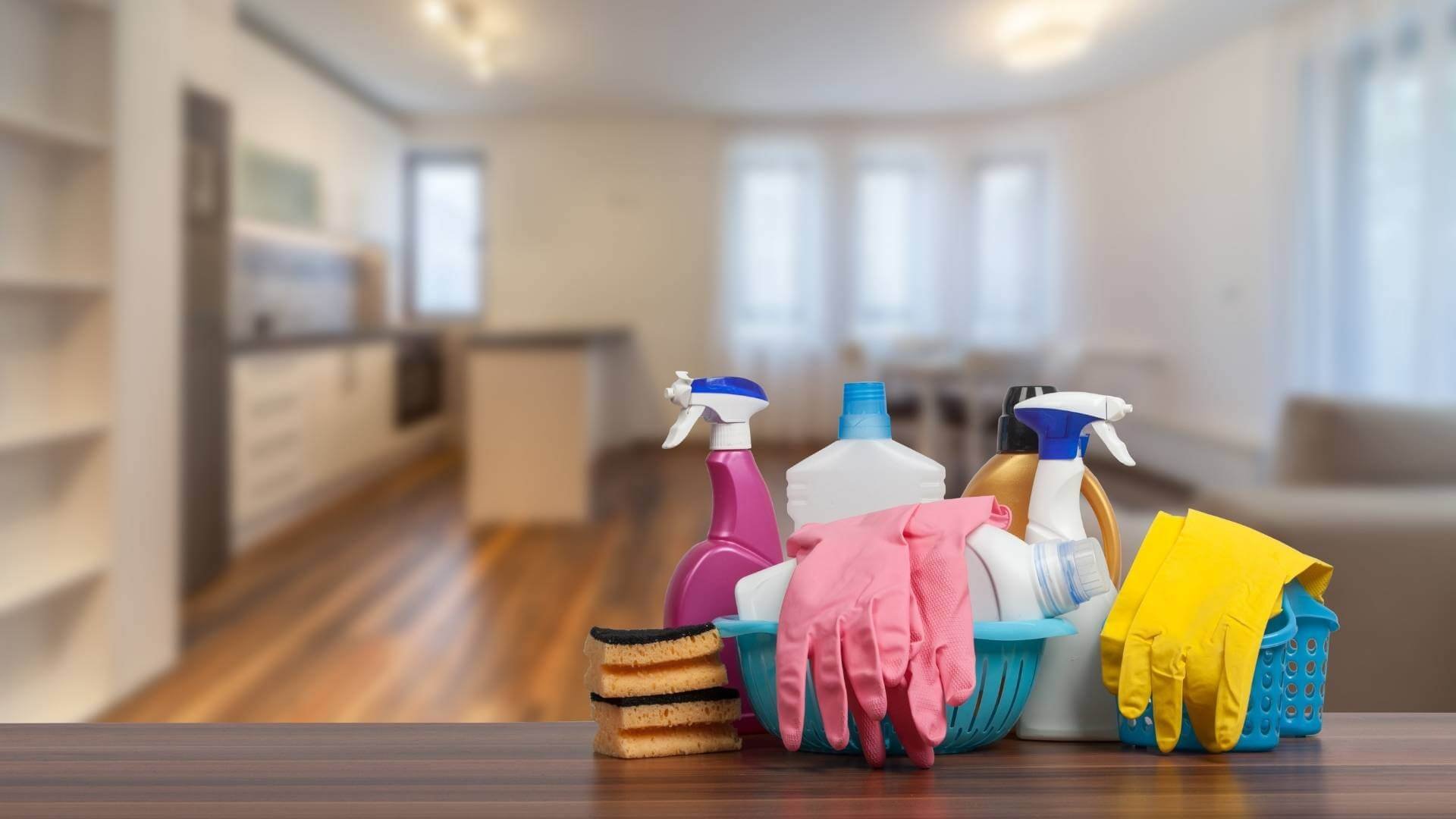 home domestic cleaning services