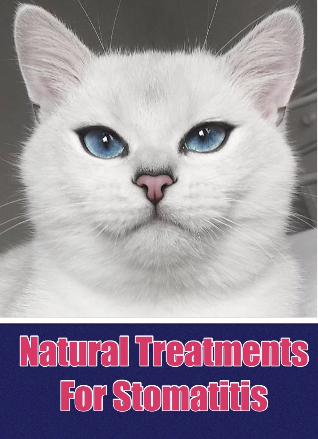 home remedies for cats in pain