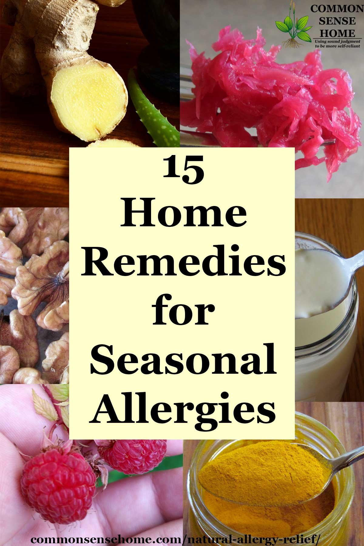 home remedies for nasal allergies