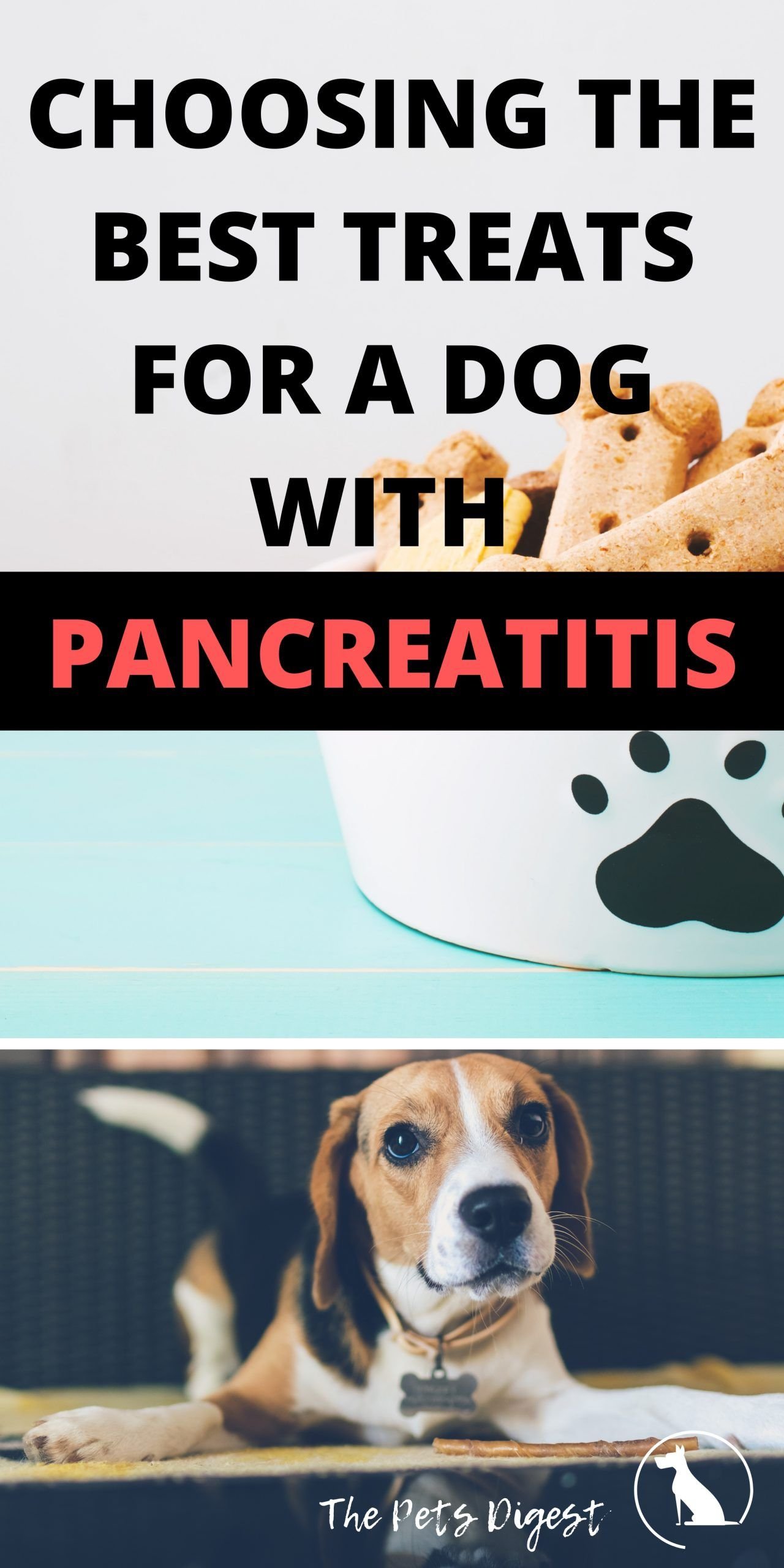 homemade dog food for pancreatitis