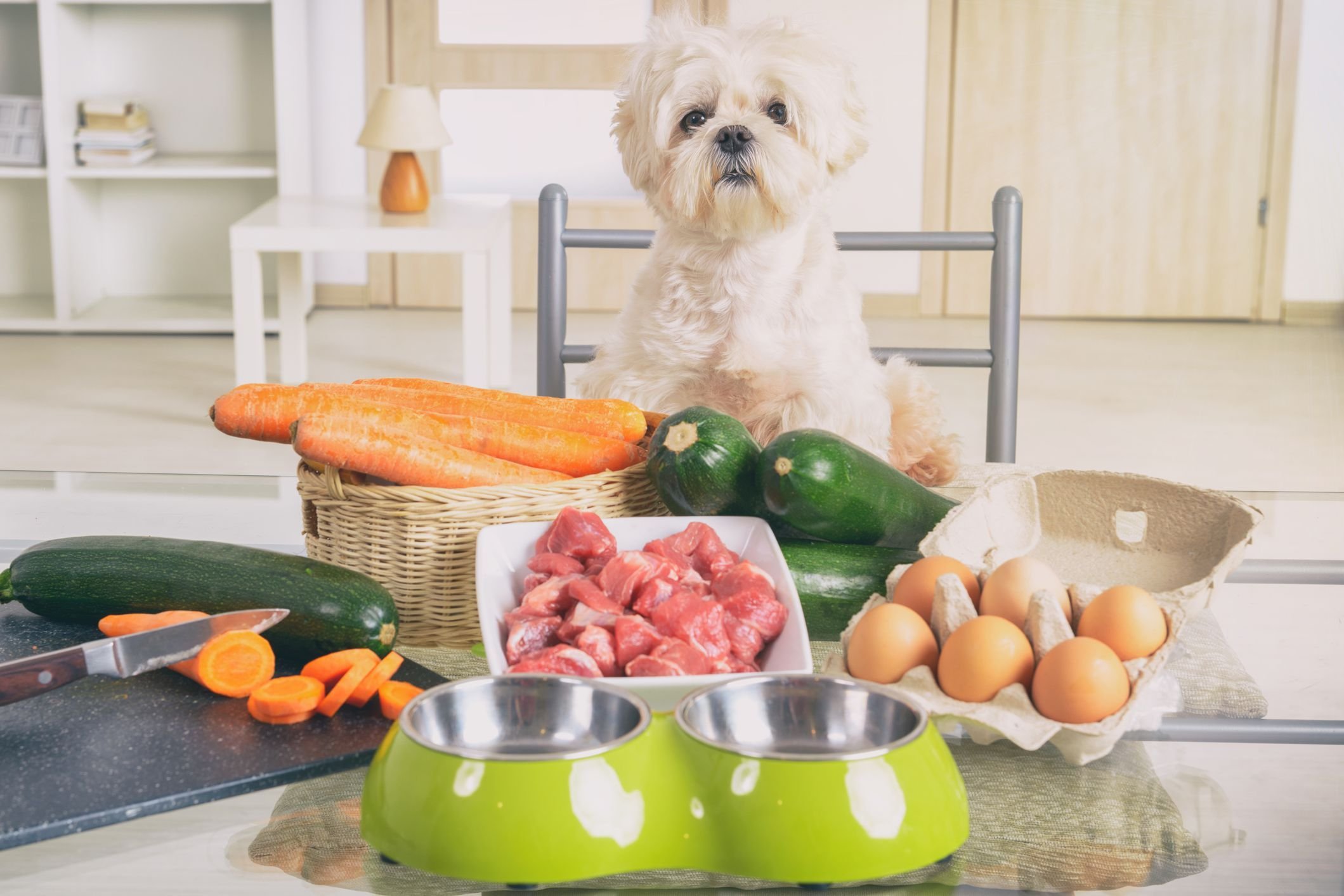 homemade dog food recipes vet approved uk