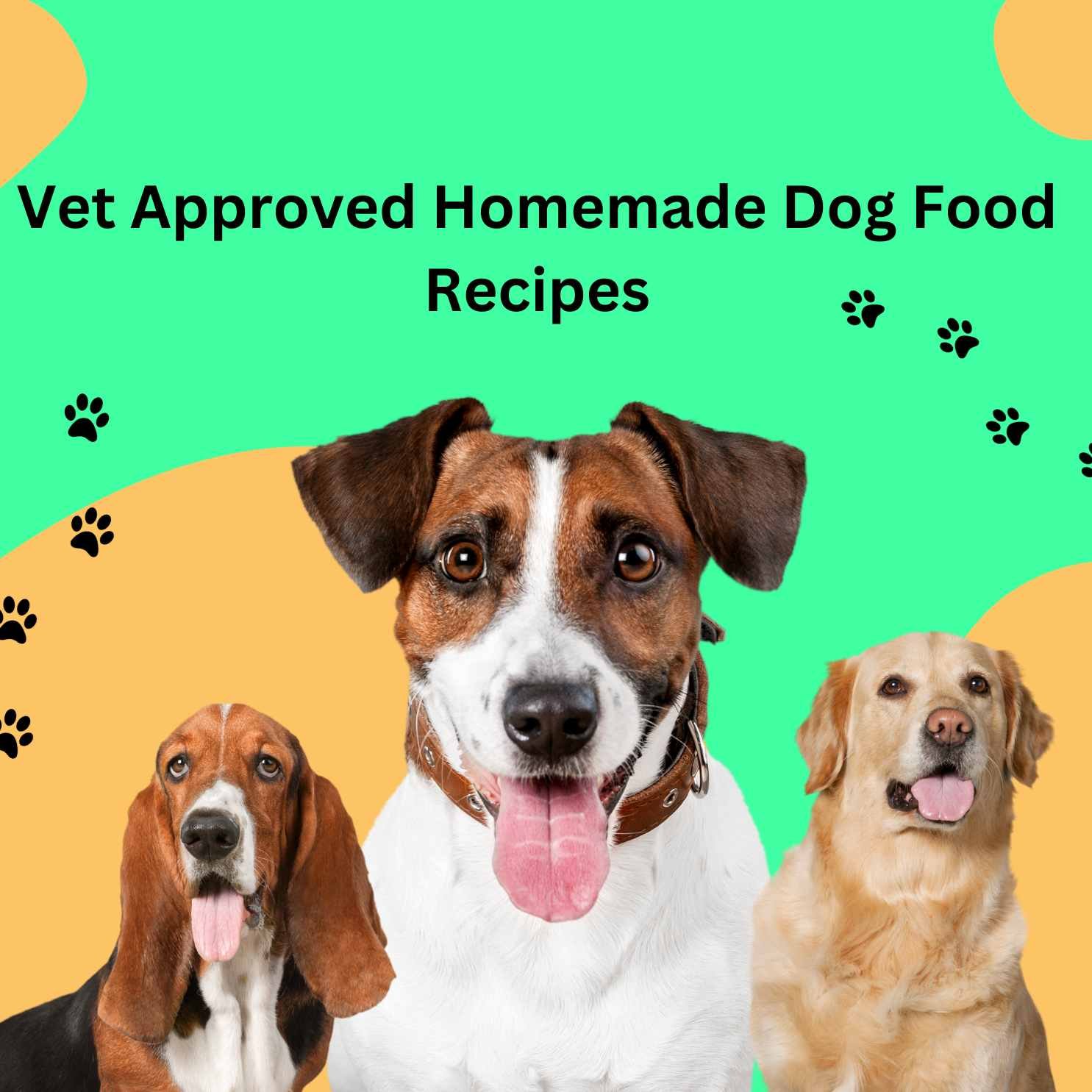 homemade food for dogs with renal failure