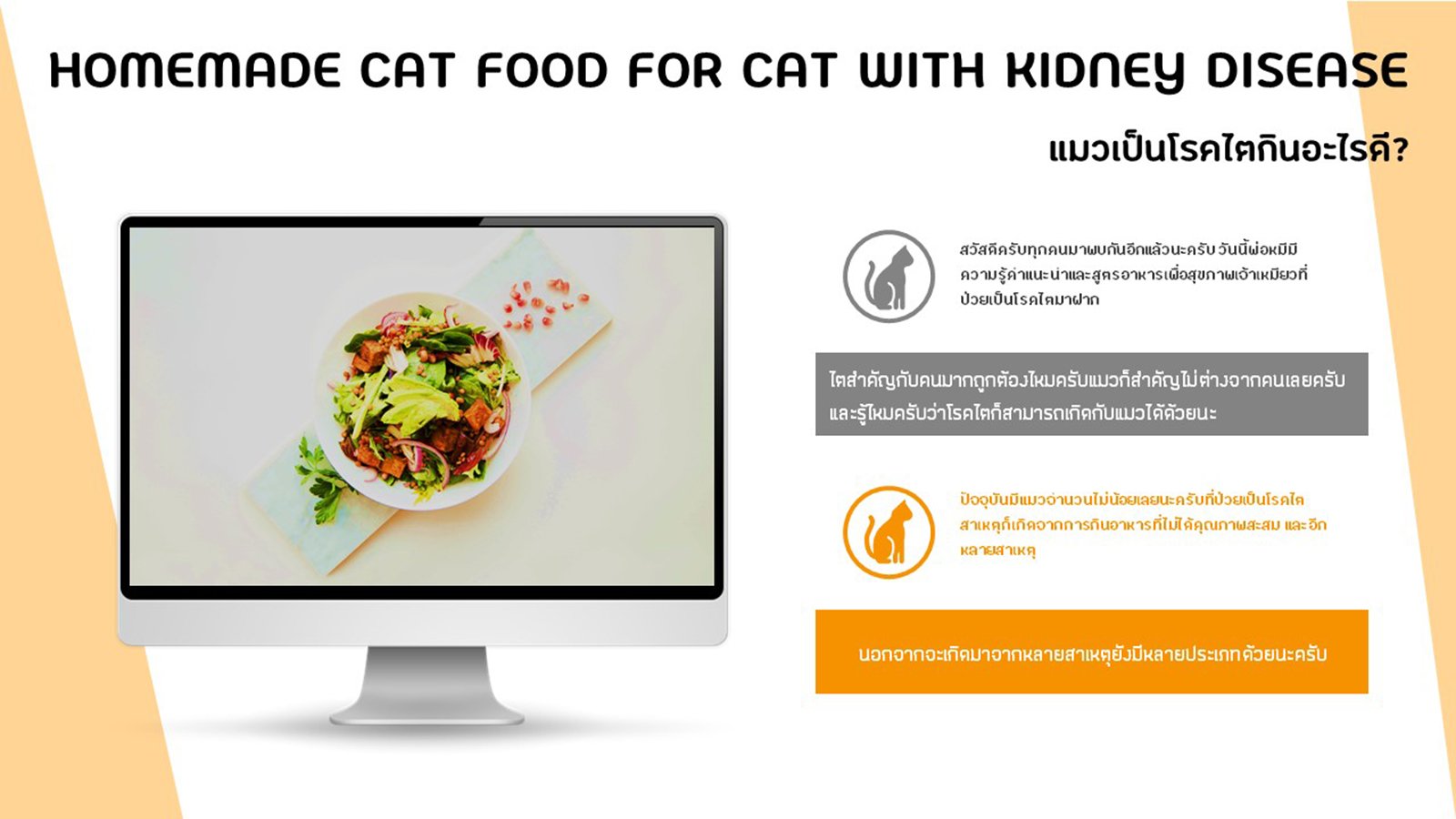 homemade kidney diet for cats