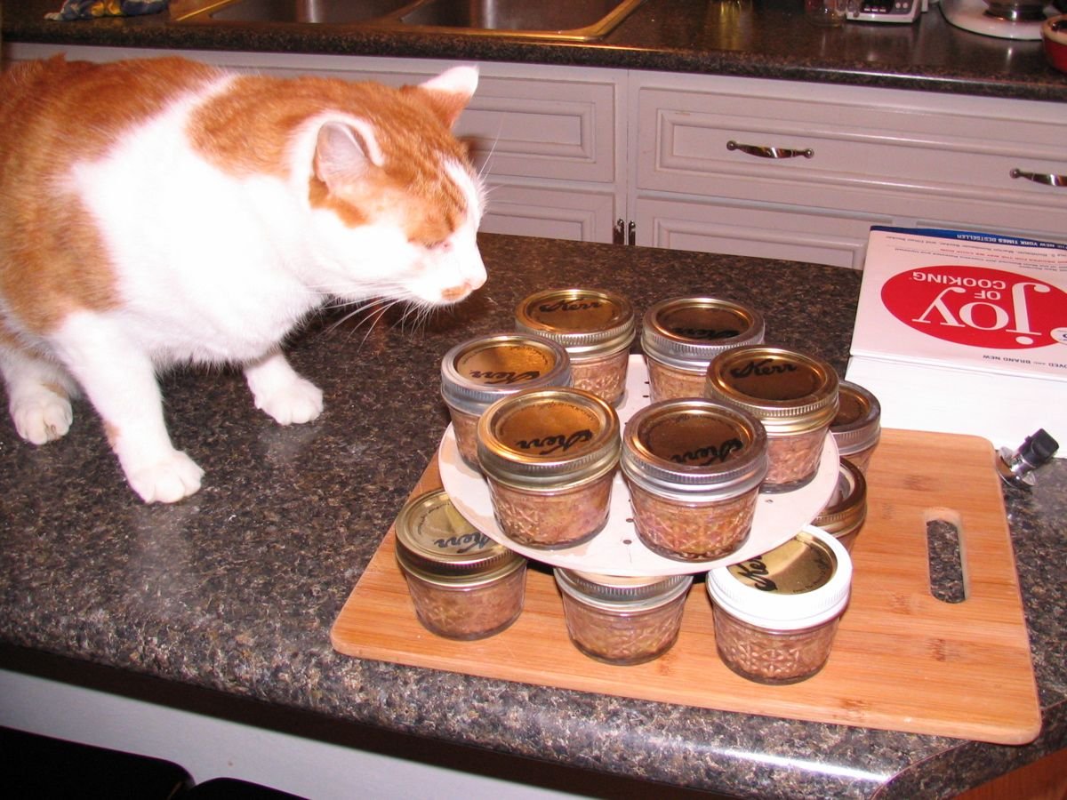 homemade meals for cats