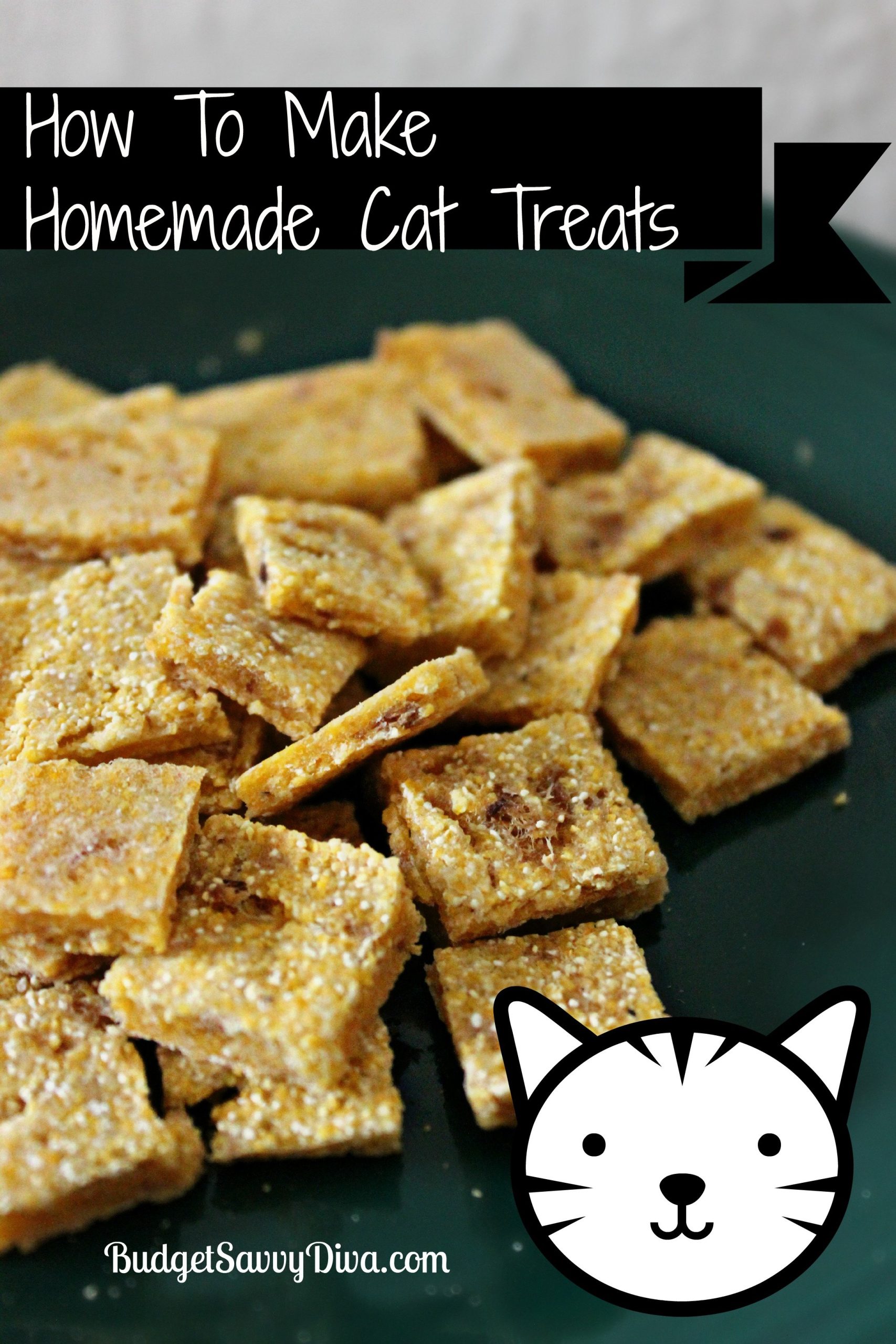 homemade meals for cats