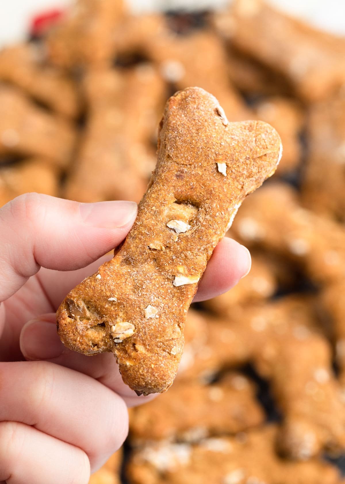 homemade treats for dogs with allergies