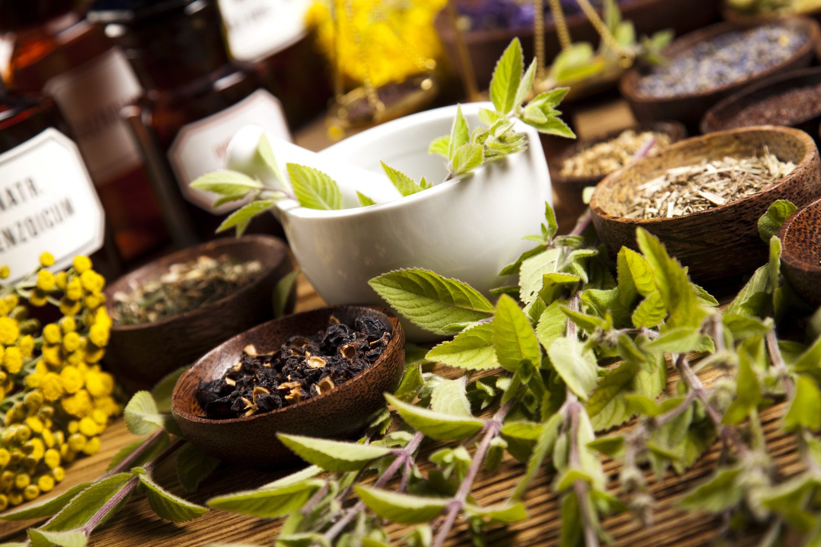 homeopathic and naturopathic medicine