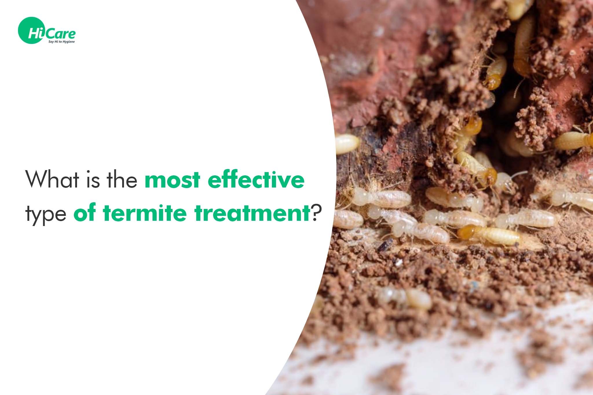 home remedy for termite control